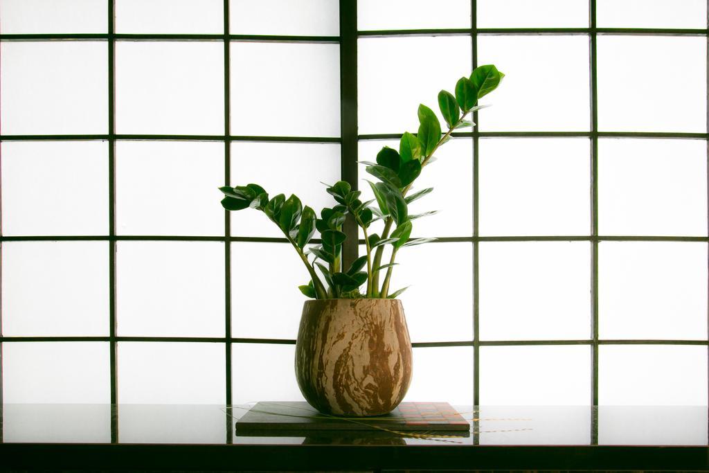 Villa Hosta Nijo Aoi Kyōto Esterno foto
